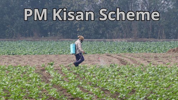PM Kisan Good News: ಪಿಎಂ ಕಿಸಾನ್ ಯೋಜನೆಯ ಮುಂದಿನ ಕಂತು ಫೆಬ್ರುವರಿಯಲ್ಲಿ ಬಿಡುಗಡೆ ಸಾಧ್ಯತೆ