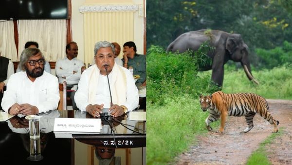 ಬಂಡೀಪುರ, ನಾಗರಹೊಳೆಯಲ್ಲಿ ಹಂತಹಂತವಾಗಿ ಸಫಾರಿ ಪುನಾರಂಭ: ಸಿಎಂ ನೇತೃತ್ವದ ಸಭೆಯಲ್ಲಿ ಚರ್ಚೆಯಾಗಿದ್ದೇನು?