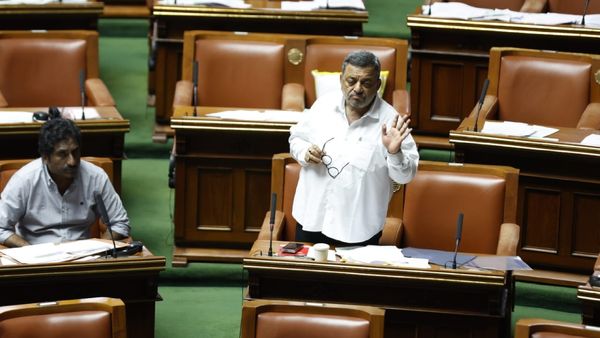 ತೆಂಗಿನ ಬೆಳೆಗೆ ಬಿಳಿ ನೊಣ, ಕೀಟಗಳ ನಿಯಂತ್ರಣಕ್ಕೆ ಕ್ರಮ: ಎಸ್.ಎಸ್. ಮಲ್ಲಿಕಾರ್ಜುನ್