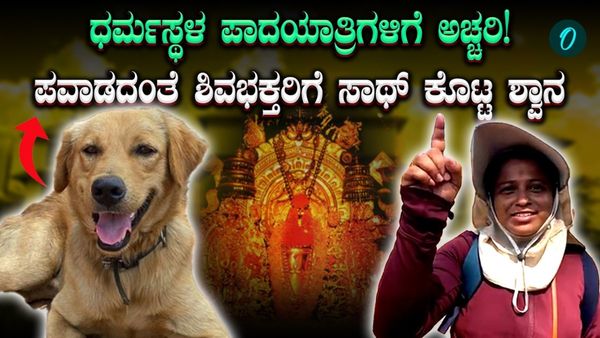 ಬೆಂಗಳೂರಿನಿಂದ ಧರ್ಮಸ್ಥಳಕ್ಕೆ ಪಾದಯಾತ್ರೆ: ಭಕ್ತರ ಜೊತೆ 320 ಕಿ.ಮೀ ನಡೆದ 'ಶಿವನ ದೂತ' ಶ್ವಾನ!