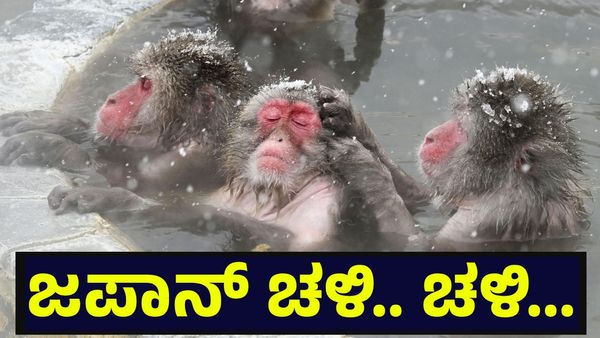 Japan Snowfall: 30 ಜೀವಕ್ಕೆ ಕುತ್ತು ತಂದ ಭಾರಿ ಹಿಮಪಾತ, ಜಪಾನ್ ಪರಿಸ್ಥಿತಿ ಕಂಡು ಪ್ರಪಂಚದ ಕಂಬನಿ