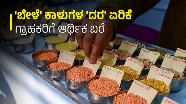 Lentil Price Hike: ಗ್ರಾಹಕರ ಜೇಬು ಸುಡುತ್ತಿದೆ ತೊಗರಿ ಬೇಳೆ: ದಿಢೀರ್ ಬೆಲೆ ಏರಿಕೆಗೆ, ಕಾರಣವೇನು