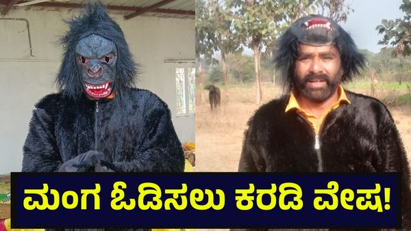 ಮಂಗಗಳಿಗೆ ಪಾಠ ಕಲಿಸಲು ಕರಡಿ ವೇಷ ಹಾಕುವ ವ್ಯಕ್ತಿ, ಇಲ್ಲಿದೆ ನೋಡಿ ವಿಚಿತ್ರ ಗೆಟಪ್ | Sircilla District