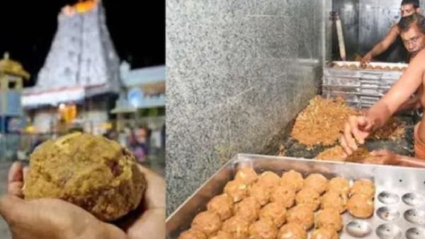 Tirupati laddu: ತಿರುಪತಿ ಲಡ್ಡು ವಿತರಣೆಯಲ್ಲಿ ಹೊಸ ಬದಲಾವಣೆ: ಕೌಂಟರ್‌ಗಳಲ್ಲೇ QR ಕೋಡ್ ಮೂಲಕ UPI ಪಾವತಿ