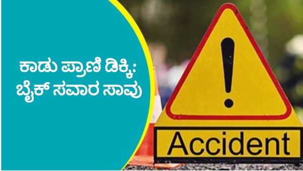 ಕಾಡು ಪ್ರಾಣಿ ಡಿಕ್ಕಿ: ಬೈಕ್ ಸವಾರ ಸಾವು, ಮಗನ ಶವ ಕಂಡು ಜೀವ ಬಿಟ್ಟ ತಂದೆ