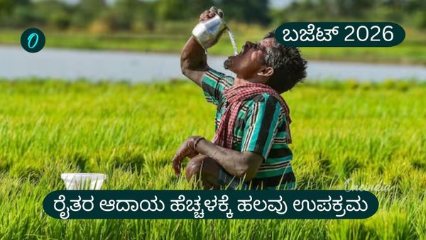 ರೈತರ ಆದಾಯ ಹೆಚ್ಚಳಕ್ಕೆ ಕೇಂದ್ರದ ಮಾಸ್ಟರ್ ಪ್ಲಾನ್, ಇಲ್ಲಿದೆ ಸಂಪೂರ್ಣ ಮಾಹಿತಿ... Union Budget 2026