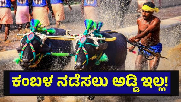 ಕಂಬಳ ಕ್ರೀಡೆ ಆಯೋಜನೆ ಬಗ್ಗೆ ಸುಪ್ರೀಂಕೋರ್ಟ್ ಮಹತ್ವದ ಆದೇಶ... Kambala Race