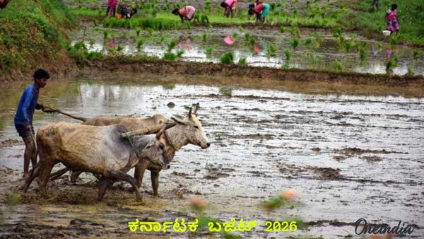 ರೈತರಿಗೆ ಮಾಲ್, ಮಂಡ್ಯ ಸಾವಯ ಕೃಷಿ: ಅಡಿಕೆ - ತೆಂಗು ಬೆಳಗಾರರಿಗೂ ಬಂಪರ್, ಮೇಕೆದಾಟು ಯೋಜನೆಗೆ ಅಸ್ತು