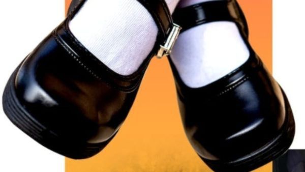 ಸರ್ಕಾರಿ ಶಾಲಾ ವಿದ್ಯಾರ್ಥಿಗಳಿಗೆ 104 ಕೋಟಿ ರೂ. ವೆಚ್ಚದಲ್ಲಿ ಉಚಿತ ಶೂ, ಸಾಕ್ಸ್ ವಿತರಣೆಗೆ ಸರ್ಕಾರದ ಆದೇಶ