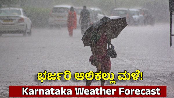 Rain Alert: ಕರ್ನಾಟಕದ ಈ 9 ಜಿಲ್ಲೆಗಳಿಗೆ ಮುಂದಿನ 2 ದಿನ ವ್ಯಾಪಕ ಆಲಿಕಲ್ಲು ಮಳೆ ಎಚ್ಚರಿಕೆ