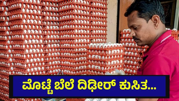 ಮೊಟ್ಟೆ ಬೆಲೆ ಭಾರಿ ಕುಸಿತ, ಕೋಟಿ ಕೋಟಿ ರೂಪಾಯಿ ಕಳೆದುಕೊಳ್ಳುತ್ತಿರುವ ರೈತರು... Operation Roaring Lion