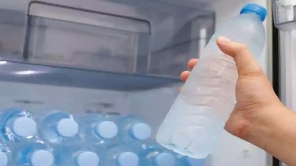 Summer Alert: ಬೇಸಿಗೆಯಲ್ಲಿ ಫ್ರಿಜ್ ನೀರು ಕುಡಿಯುತ್ತಿದ್ದೀರಾ? ಮೊದಲು ಈ ವಿಷಯ ತಿಳಿದುಕೊಳ್ಳಿ