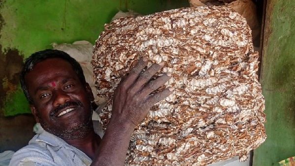 Tamarind Cultivation: ಹೊಸಪೇಟೆ ಹುಣಸೆ ಘಟಕಕ್ಕೆ ವಿಶ್ವಬ್ಯಾಂಕ್ ಉನ್ನತ ಮಟ್ಟದ ತಂಡ ಭೇಟಿ, ರೈತರಿಗೆ ಗುಡ್‌ನ್ಯೂಸ್ ನಿರೀಕ್ಷೆ