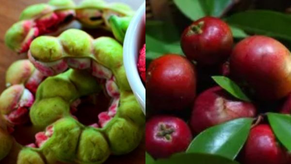 ಮರೆತು ಹೋಗಿರುವ 7 ಭಾರತೀಯ ಬೇಸಿಗೆ ಹಣ್ಣುಗಳು: ಆರೋಗ್ಯ ಲಾಭಗಳು ಮತ್ತು ಸಂಪೂರ್ಣ ಮಾಹಿತಿ