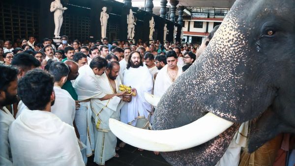 Ambani: ಕೇರಳದ ದೇವಾಲಯಗಳು, ಆನೆಗಳ ಕಲ್ಯಾಣಕ್ಕಾಗಿ ₹18 ಕೋಟಿ ದೇಣಿಗೆ ನೀಡಿದ ಅನಂತ್ ಅಂಬಾನಿ