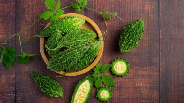 ಮನೆಯಲ್ಲಿ ಹಾಗಲಕಾಯಿ ಬೆಳೆಸುತ್ತಿದ್ದೀರಾ? ಹಾಗಾದರೆ 4 ವಾಸ್ತು ನಿಯಮಗಳು ತಿಳಿಯಿರಿ