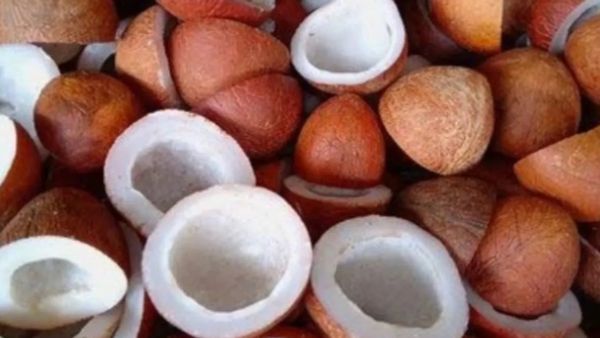 ಕಲ್ಪತರು ನಾಡು ತುಮಕೂರು ಜಿಲ್ಲೆಯ ತಿಪಟೂರು ಎಪಿಎಂಸಿಯಲ್ಲಿ ಕೊಬ್ಬರಿ ಬೆಲೆ ಮತ್ತಷ್ಟು ಏರಿಕೆ