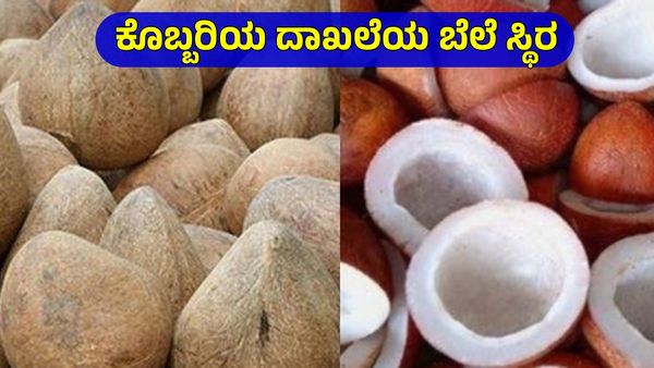 Copra Price: ತಿಪಟೂರು ಎಪಿಎಂಸಿಯಲ್ಲಿ ಕೊಬ್ಬರಿ ದರ 38000 ರೂ; ವಿವಿಧ ಮಾರುಕಟ್ಟೆಗಳ ಬೆಲೆ ಅಪ್ಡೇಟ್ಸ್‌