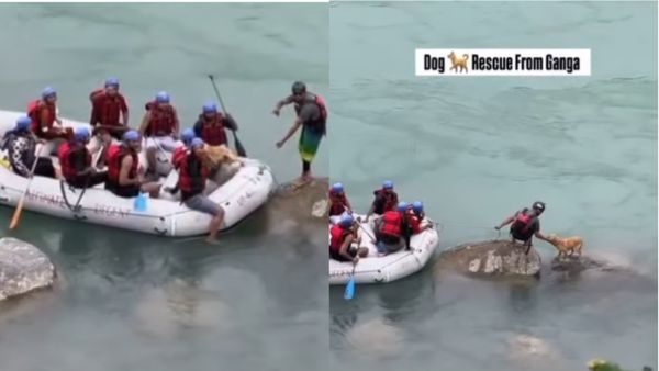 Viral Video: ಗಂಗಾ ನದಿಯ ನಡುಗಡ್ಡೆಯಲ್ಲಿ ಸಿಲುಕಿದ್ದ ಶ್ವಾನವನ್ನು ರಕ್ಷಿಸಿದ ರ‍್ಯಾಫ್ಟಿಂಗ್ ಆಪರೇಟರ್, ನೆಟ್ಟಿಗರಿಂದ ಮೆಚ್ಚುಗೆ