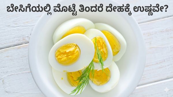 ಬೇಸಿಗೆಯಲ್ಲಿ ಮೊಟ್ಟೆ ತಿಂದರೆ ದೇಹಕ್ಕೆ ಉಷ್ಣವೇ? ದಿನಕ್ಕೆ ಎಷ್ಟು ಮೊಟ್ಟೆ ತಿನ್ನಬಹುದು? ಇಲ್ಲಿದೆ ತಜ್ಞರ ಉತ್ತರ