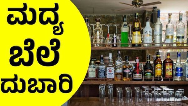 Alcohol Price Hike: ಹೊಸ ಅಬಕಾರಿ ನೀತಿ: ಕರ್ನಾಟಕದಲ್ಲಿ ಬ್ರಾಂಡಿ, ಬಿಯರ್, ವಿಸ್ಕಿ ಸೇರಿ ಈ ಮದ್ಯಗಳ ಬೆಲೆ ದುಬಾರಿ, ಎಷ್ಟು