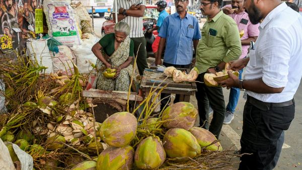 ಬೇಸಿಗೆಯಲ್ಲಿ ಎಳನೀರಿಗೆ ಈ ಪದಾರ್ಥಗಳ ಸೇರಿಸಿ ಕುಡಿಯಿರಿ: ದೇಹ ದಿನವಿಡಿ ತಂಪಾಗಿರುತ್ತದೆ