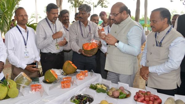 IIHR: ರೈತರಿಗೆ ಬಂಪರ್, 'ಅರ್ಕ ಜಾಮುನ್ ಪ್ರೈಡ್, ಅರ್ಕ ಶಿವ' ಹೊಸ ಹಣ್ಣು ತಳಿಗಳ ಲೋಕಾರ್ಪಣೆ