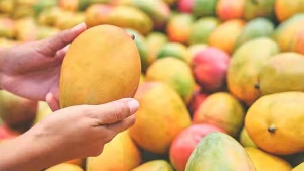 ರಾತ್ರಿ ಹೊತ್ತು ಮಾವಿನ ಹಣ್ಣು ತಿನ್ನಬಹುದೇ? ಮಾವು ತಿನ್ನಬಹುದಾದ ಸರಿಯಾದ ಸಮಯ ಯಾವುದು?