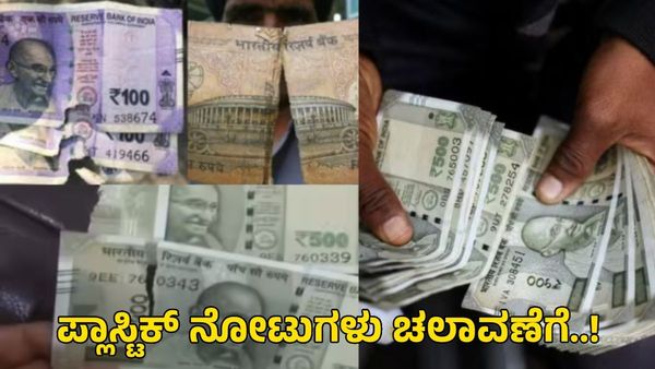 Plastic Notes: ಭಾರತದಲ್ಲಿ ಬರಲಿವೆ ಪ್ಲಾಸ್ಟಿಕ್ ನೋಟುಗಳು: ಕಾಗದದ ನೋಟುಗಳಿಗೆ ಗುಡ್‌ಬೈ? 