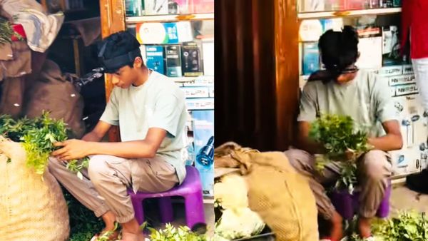 ತಲೆಗೆ ಐಫೋನ್ ಕಟ್ಟಿಕೊಂಡು ಬೆಂಗಳೂರಿನಲ್ಲಿ ತರಕಾರಿ ವ್ಯಾಪಾರ; ಈತನ ಒಂದು ಗಂಟೆಯ ಆದಾಯ ಕೇಳಿ ಸಾಫ್ಟ್‌ವೇರ್ ಇಂಜಿನಿಯರ್‌ಗಳೂ ಶಾಕ್