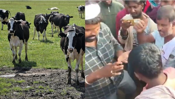 Viral Video: ಸೌಹಾರ್ದತೆ ಕಾಪಾಡುವ ಉದ್ದೇಶದಿಂದ ಹಸು ಖರೀದಿಸದ ಮುಸ್ಲಿಮರು: ರೈತರ ಆಕ್ರೋಶ