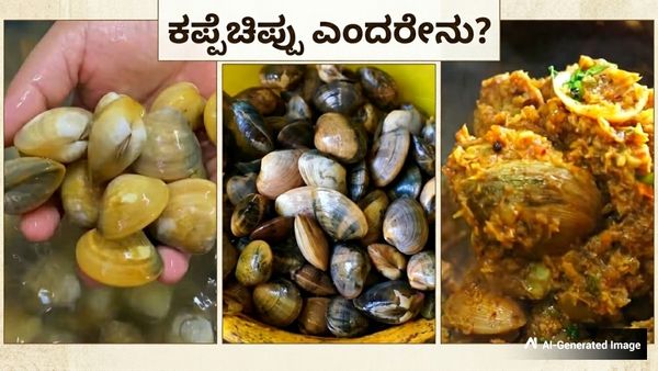ಸಮುದ್ರದ ತೀರದ ಪ್ರೋಟೀನ್ ಗಣಿ: ಕರಾವಳಿಗರ ಅಚ್ಚುಮೆಚ್ಚಿನ ಕಪ್ಪೆಚಿಪ್ಪಿನ ಸಂಪೂರ್ಣ ಮಾಹಿತಿ ಇಲ್ಲಿದೆ