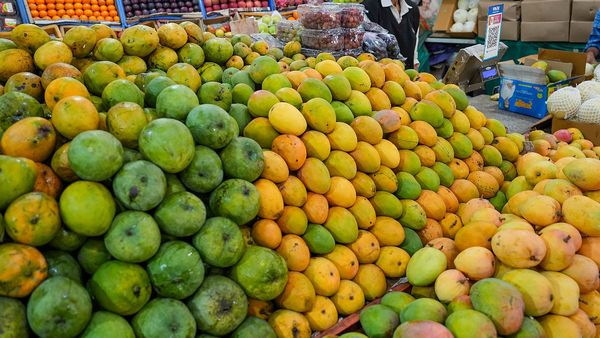 Mango: ಮಾವು ಬೆಳೆಗಾರರ ಸಂಕಷ್ಟಕ್ಕೆ ಮಿಡಿದ ಕೇಂದ್ರ; ಬೆಂಬಲ ಬೆಲೆ ನಿಗದಿ, ಈ ತಳಿಗೆ ಸಿಗಲಿದೆ ಕ್ವಿಂಟಾಲ್‌ಗೆ ₹1750