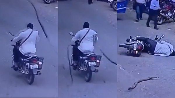 ಹೆಲ್ಮೆಟ್‌ ಹಾಕದಿದ್ರೆ ಏನಾಗುತ್ತೆ ಅನ್ನೋರೆಲ್ಲ ಇಲ್ಲಿ ನೋಡಿ; ಮರದ ಕೊಂಬೆ ಬಿದ್ದು ಪ್ರಾಣಾಪಾಯ ಸ್ಥಿತಿ ತಲುಪಿದ ಬೈಕ್‌ ಸವಾರ