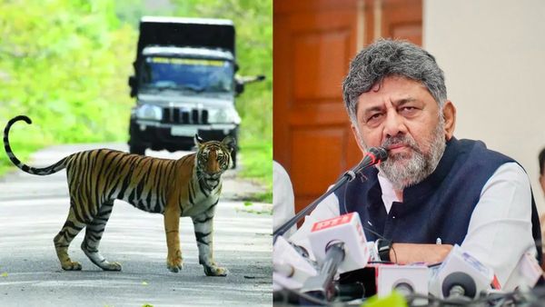 ಪ್ರವಾಸಿಗರೇ ಗಮನಿಸಿ: ಬಂಡೀಪುರ, ನಾಗರಹೊಳೆಯಲ್ಲಿ ಸಫಾರಿಗೆ ಬಂತು ಹೊಸ ರೂಲ್ಸ್
