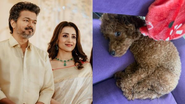Trisha: ಟ್ರೋಲಿಗರಿಗೆ ನಾಯಿ ಫೋಟೋ ಹಾಕಿ ನನ್ನ ಜೀವನದಲ್ಲಿ ಬೇರೆ ಯಾರಿಗೂ ಮೂಗು ತೂರಿಸೋ ಸ್ವಾತಂತ್ರ್ಯವಿಲ್ಲ ಎಂದ ತ್ರಿಶಾ
