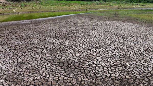 Rain: ರಾಜ್ಯದ 157 ತಾಲೂಕುಗಳು ಬರಪೀಡಿತ! ಅಧಿಕಾರದ ಅಮಲಿನಲ್ಲಿ ಸರ್ಕಾರ: ಆರ್.ಅಶೊಕ್ ಆಗ್ರಹವೇನು?