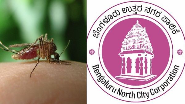 Dengue: ಬೆಂಗಳೂರಲ್ಲಿ 46 ಡೆಂಗ್ಯೂ ಪ್ರಕರಣಗಳ ಎಚ್ಚರಿಕೆ: ಸಾರ್ವಜನಿಕರಿಗೆ ಪಾಲಿಕೆಯ ಮಹತ್ವದ ಸೂಚನೆ