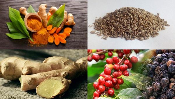 ಮಳೆಗಾಲಕ್ಕೆ ಮನೆ ಮದ್ದು, ಆರೋಗ್ಯ ಜೋಪಾನ, ಇರಲಿ ಎಚ್ಚರ