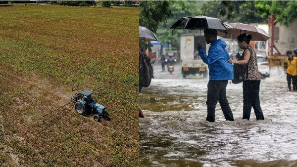RainFall: ಭಾರತದಲ್ಲಿ ನೈಋತ್ಯ ಮುಂಗಾರು ಮಳೆ ಕೊರತೆ: ಎರಡು ತಿಂಗಳು ಮಳೆ ಆಗದಿದ್ದರೆ ಭಾರೀ ಸಂಕಷ್ಟ, ಈ ವಸ್ತುಗಳ ಬೆಲೆ ಏರಿಕೆ  