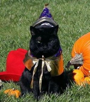 ജോര്‍ജ്‌ ബുഷിന്റെ അരുമ 'ഇന്ത്യ' ചത്തു