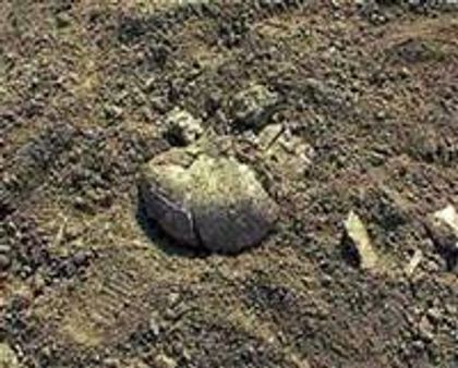 കൂട്ടക്കുഴിമാടങ്ങള്‍ സ്വാതന്ത്ര്യ സമര പോരാളികളുടെ?