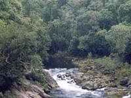 സൈലന്റ് വാലിക്ക് 25 വയസ്സ്