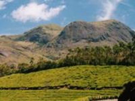 മൂന്നാറില്‍ കമ്യൂണിറ്റി ഗ്രാമം പണിയുന്നു