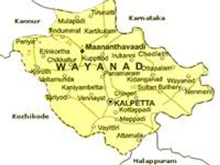 വയനാട്ടില്‍ വീണ്ടും ഭൂമി കയ്യേറ്റം