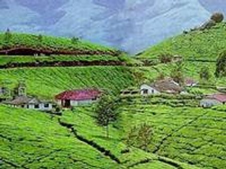 ടാറ്റയുടെ 15 ബംഗ്ലാവുകള്‍ക്ക് നോട്ടീസ്