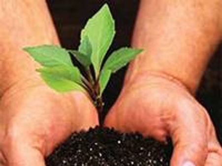 1000 കോടിയുടെ ഗ്രീന്‍ ഫണ്ട്