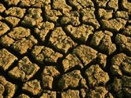 സൂര്യാഘാതത്തെക്കുറിച്ച് പഠിക്കും: മുഖ്യമന്ത്രി