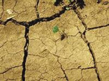 ചൂട്: സംസ്ഥാനത്ത് കൂടുതല്‍പ്പേര്‍ക്ക് പൊള്ളല്‍