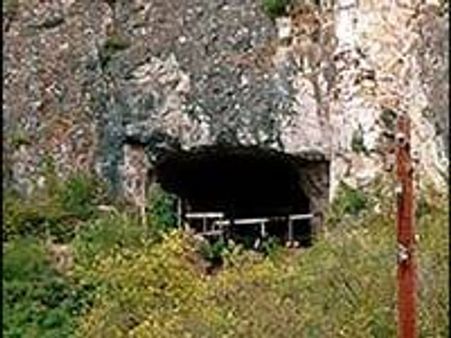 എക്‌സ് വുമണ്‍ പുതിയ മനുഷ്യ സ്പീഷിസ്?